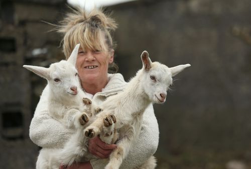 Angela Bermingham with her twin geep, This and That. (AAP)