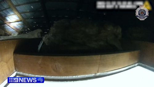 A cavidade do telhado onde o adolescente tentou se esconder da polícia.