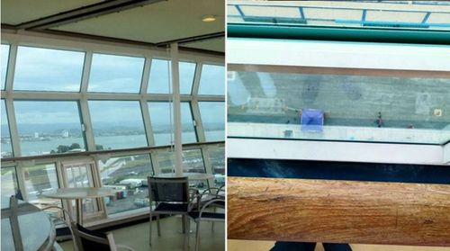 Chloe Wiegand fell from an open window on the 11th floor of the cruise ship.