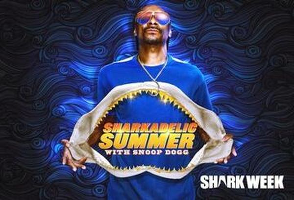 Sharkadelic Summer