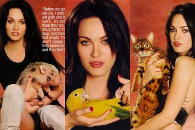 <i>Transformers</i> star Megan has a pot bellied pig, a parrot, two cats and eight dogs. Pictured on the right is 'Rosh', a Bangal cat descended from mountain lions.