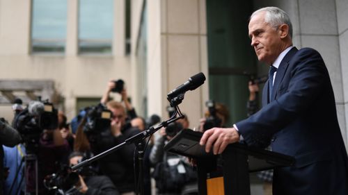 Mr Turnbull is set to quit the parliament on Friday.