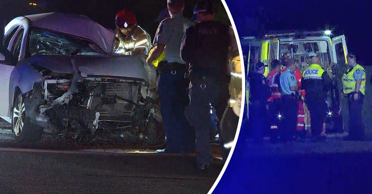 Teen killed after allegedly drunk L-plater crashes into tree