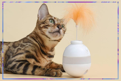 9PR: Michu Interactive Cat Treat Dispenser Toy