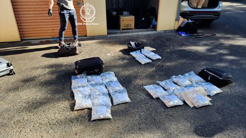 Bluey coins found by police