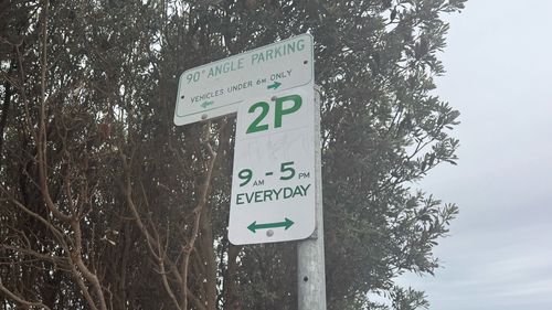 These were the only signs in the immediate vicinty of where Karina parked rear-to-kerb along Narrabeen Park Parade in Sydney's Northern Beaches.