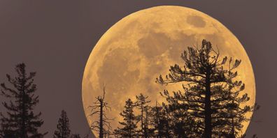 The biggest supermoon of the year.