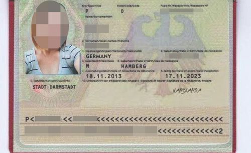A photo of a passport David's online love interest sent him before taking off with $50,000 of his savings.
