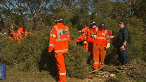 The child is believed to be aged between two and seven. (9NEWS)