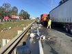 Beer spilled on Logan motorway Queensland. 