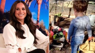 Meghan Markle offers rare glimpse of Archie in Ellen interview