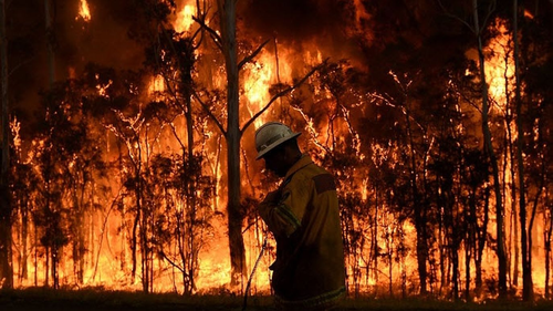 Bushfire risk 2024