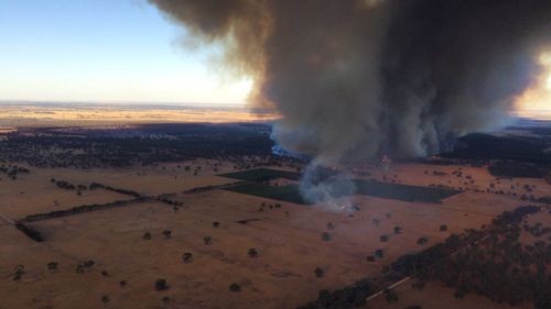 A serious incident has occurred between a CFS vehicle and a tree in Lucindale.