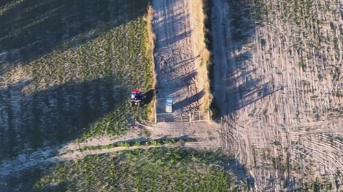 A shocking drone video shows a man allegedly kicking, punching and dragging greyhounds while the dogs cower and try to run away on a property near Murray Bridge in Adelaide's southeast.