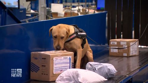 Australia's largest mail processing centre is now using a forensics lab to detect and test for illegal items such as drugs and weapons sent in the mail.
