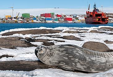 Which settlement is Australia's oldest continental Antarctic territory station?