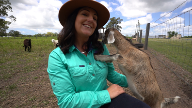 Splitters Farm. An animal rescue farm and getaway run by Carly and Ashley Clark in Bundaberg.