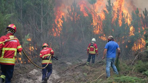 Fire fighters combat a forest fire in Gaeiras, Marinha Grande, in the country's centre. (AAP)