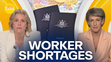 Tourism operators warn working holiday visa cuts may trigger worker shortages