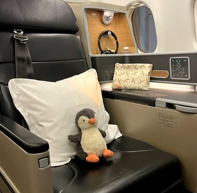 Little Penguin in business class
