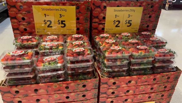 Strawberry punnets on sale, 3 for $5