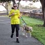 Runner Nicole on swapping her cane for Seeing Eye Dog Trixie