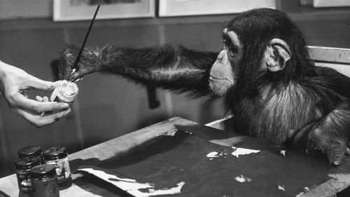 Congo started painting at two but was dead at 10.