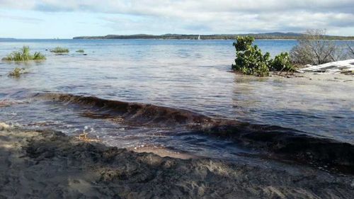 Water laps at the edges of the sinkhole. (Courtesy of Clayton's Towing).