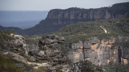 Narrow Neck in Katoomba, Blue Mountains were the panther has previously been sighted.