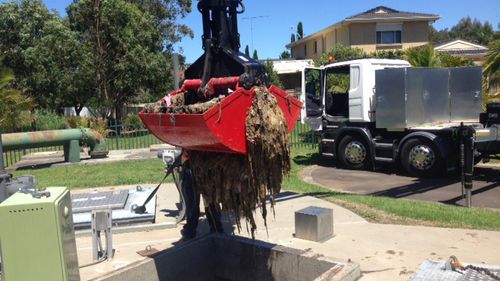 'Flushable' wipes being removed from a Shellharbour pumping station. (Source/ Sydney Water)