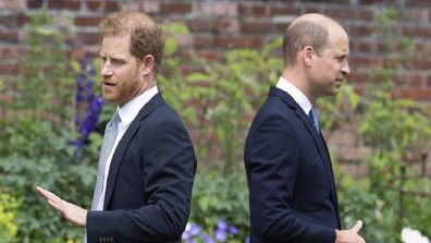 Prince William and Prince Harry