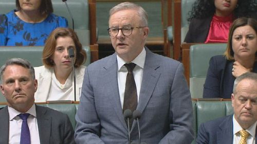 Anthony Albanese speaks in parliament about Bianca Jones, Melbourne teenager who died from suspected methanol poisoning