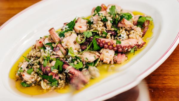 Massimo Mele's octopus, barley, garlic, chilli salad