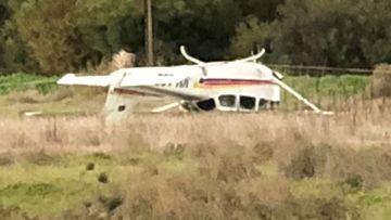 Transport bureau to investigate light plane crash