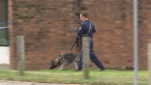 Police are hunting the driver who fled on foot. (9NEWS)