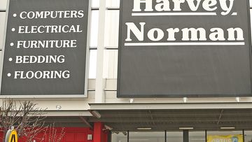 Former staff allegedly steal nearly $600,000 from Harvey Norman store.