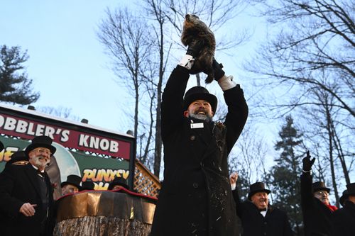 Groundhog Club handler A.J. Dereume holds Punxsutawney Phil, the weather prognosticating groundhog, during the 136th celebration of Groundhog Day on Gobbler's Knob in Punxsutawney, Pa., Wednesday, Feb. 2, 2022