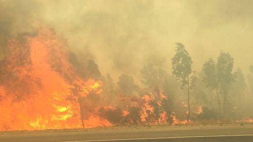 Wild grass fire forces closure of Hume Freeway at Epping