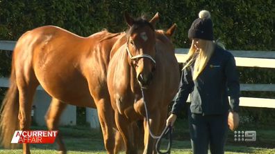 Retired racehorses help troubled youth on path to healing.