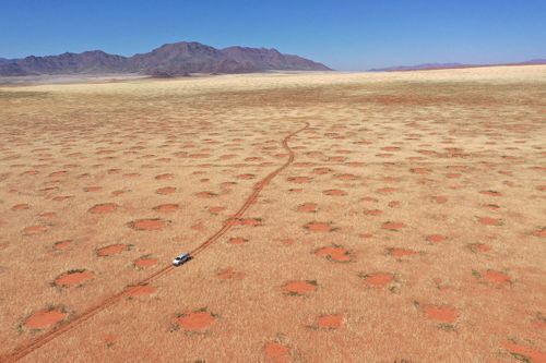 Satellites Show Mysterious Fairy Circles in More Parts of the World - The  New York Times