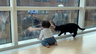 A gallery of adorable babies and their cats. YouTube user Rina Takei