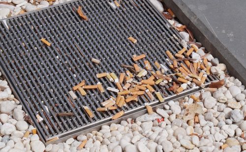 Cigarette butts litter the pebbles along the Sydney light rail route.