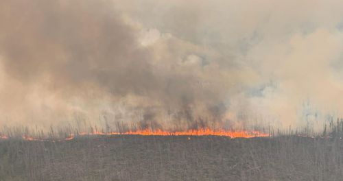 The Kenora 51 forest fire which NSW Fire and Rescue Superintendent Gregory Wright is helping with in Ontario.