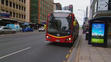 Adelaide commuters will get a free day of travel next week after an IT glitch saw hundreds of people overcharged for a bus ticket. The error was caused by new ticket validators not switching over to daylight saving time. 
