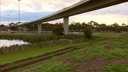 The car plunged down an embankment and into the wetlands below.