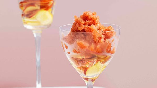 Download Nectarine And Elderflower Granita 9kitchen