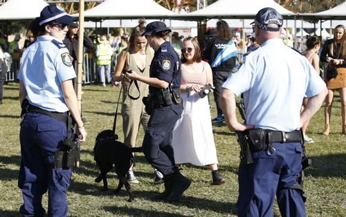 Arguments for and against pill-testing run hot as drug dogs and a heavy police presence continue at Australia music festivals after recent deaths of young people from suspected overdoses.