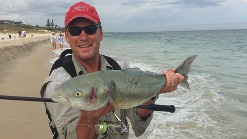 'Thommo' fishing Perth metro beaches and a nice salmon catch. 