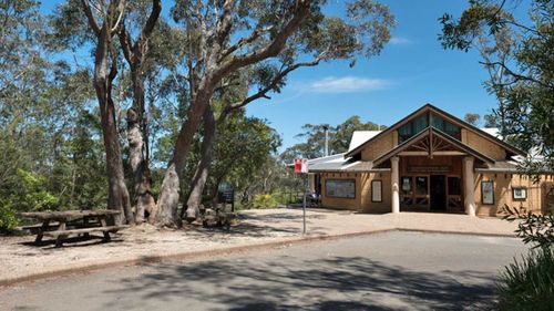 Local businesses in the Blue Mountains are feeling the heat as bushfires drive tourists away.