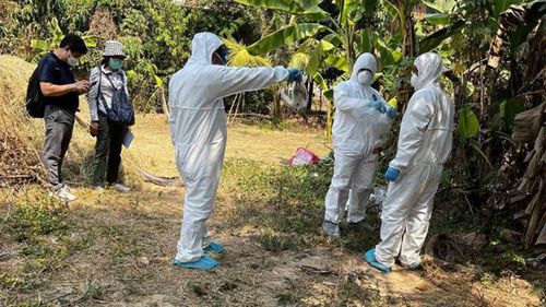 Des experts de la santé cambodgiens pulvérisent du désinfectant dans un village de Prey Veng où une fille a attrapé la grippe aviaire.